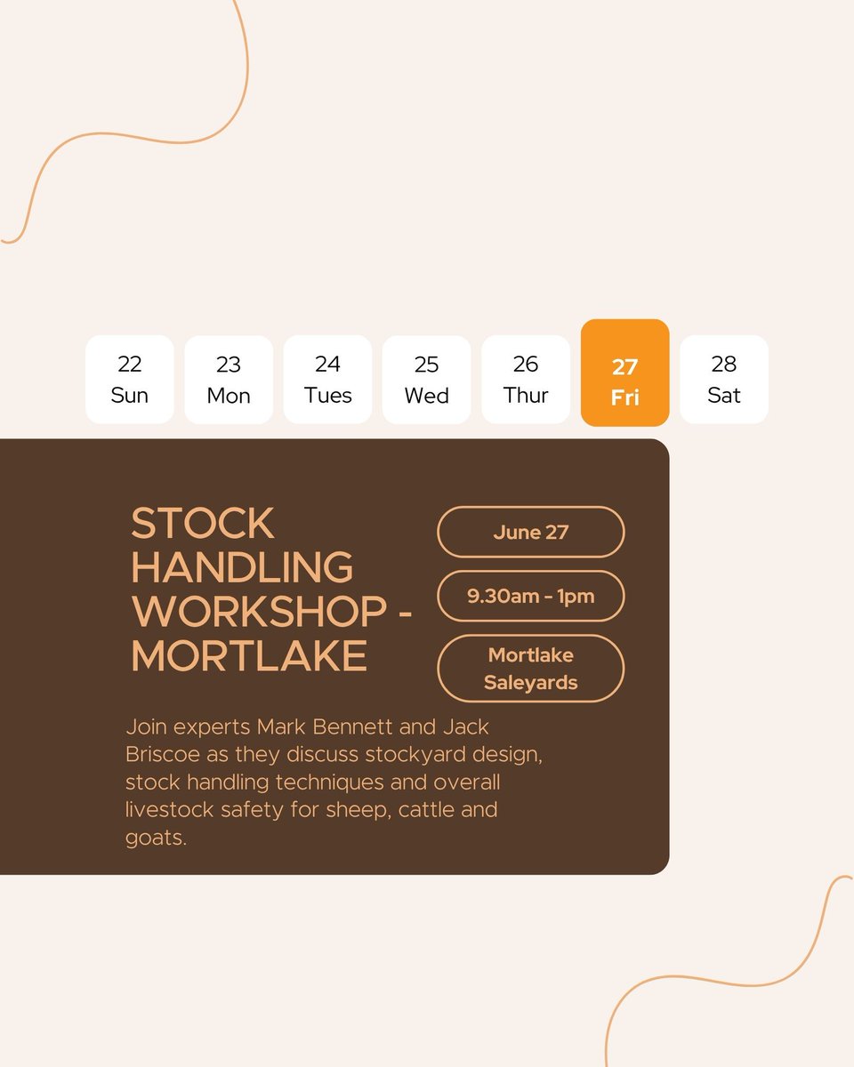 VFF Stock Sense (@vffstocksense) on Twitter photo The Stock Sense team has a busy week ahead! 
You can join us online for our Lambing Essentials webinar series, or in person at our Stock Handling Workshop in Mortlake.
To register for any of these events, head to our website 🧡 The Stock Sense team has a busy week ahead! 
You can join us online for our Lambing Essentials webinar series, or in person at our Stock Handling Workshop in Mortlake.
To register for any of these events, head to our website 🧡