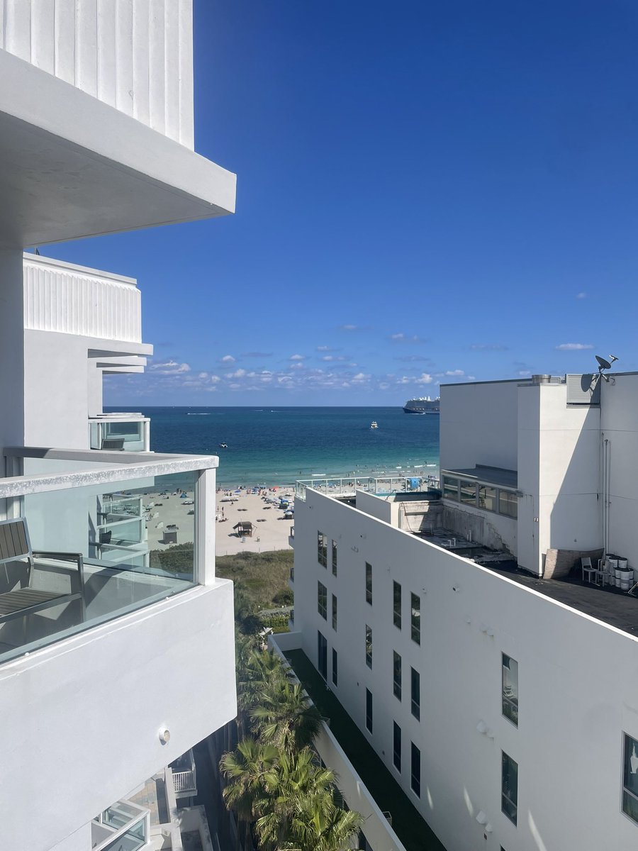 Damini Jr tweet media