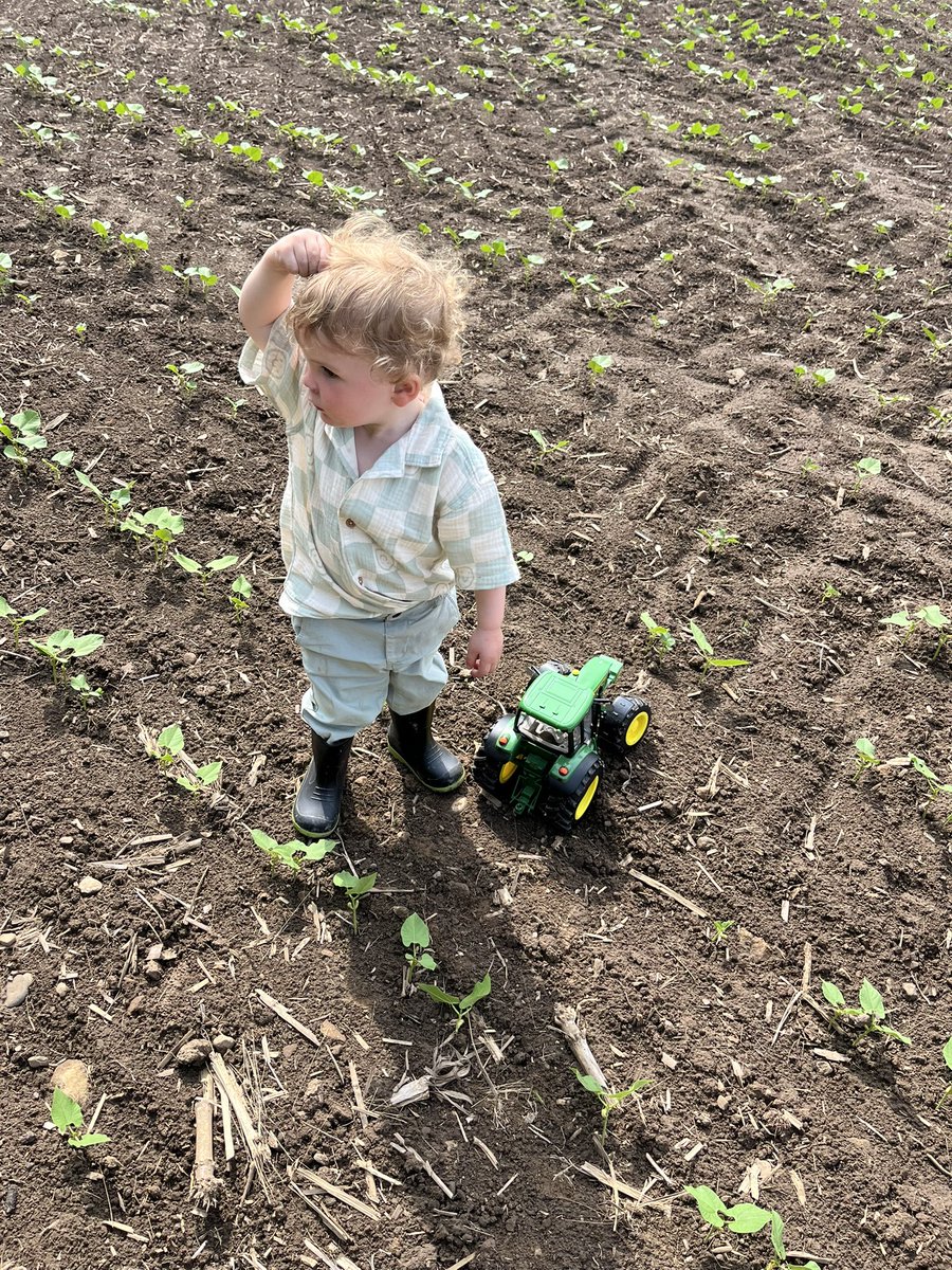 Kaitlynn Anderson tweet media