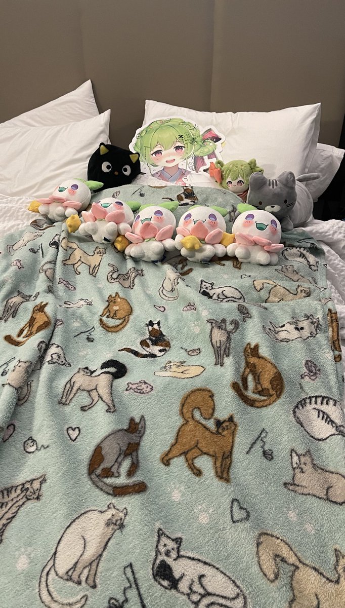 fon 🔆🔶 tweet media