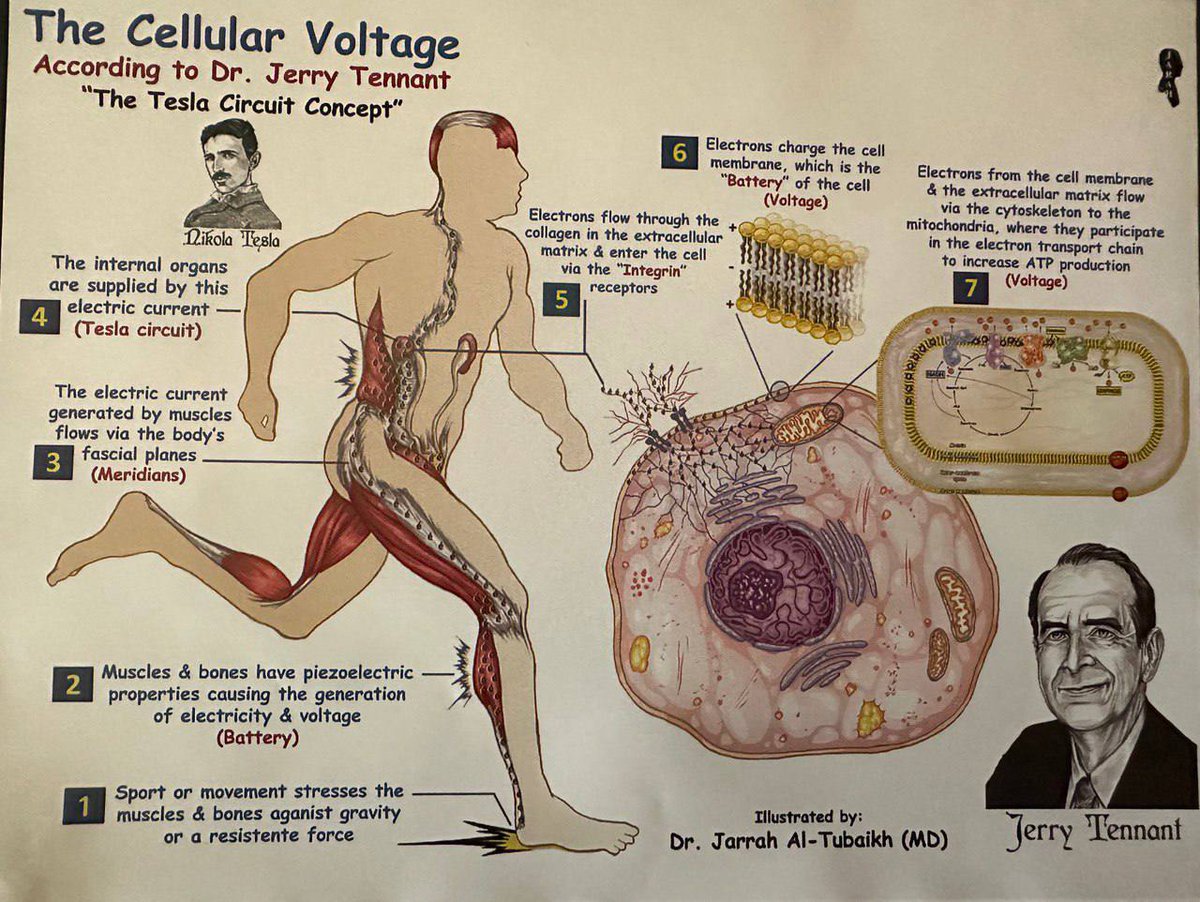healthbot (@thehealthb0t) on Twitter photo 