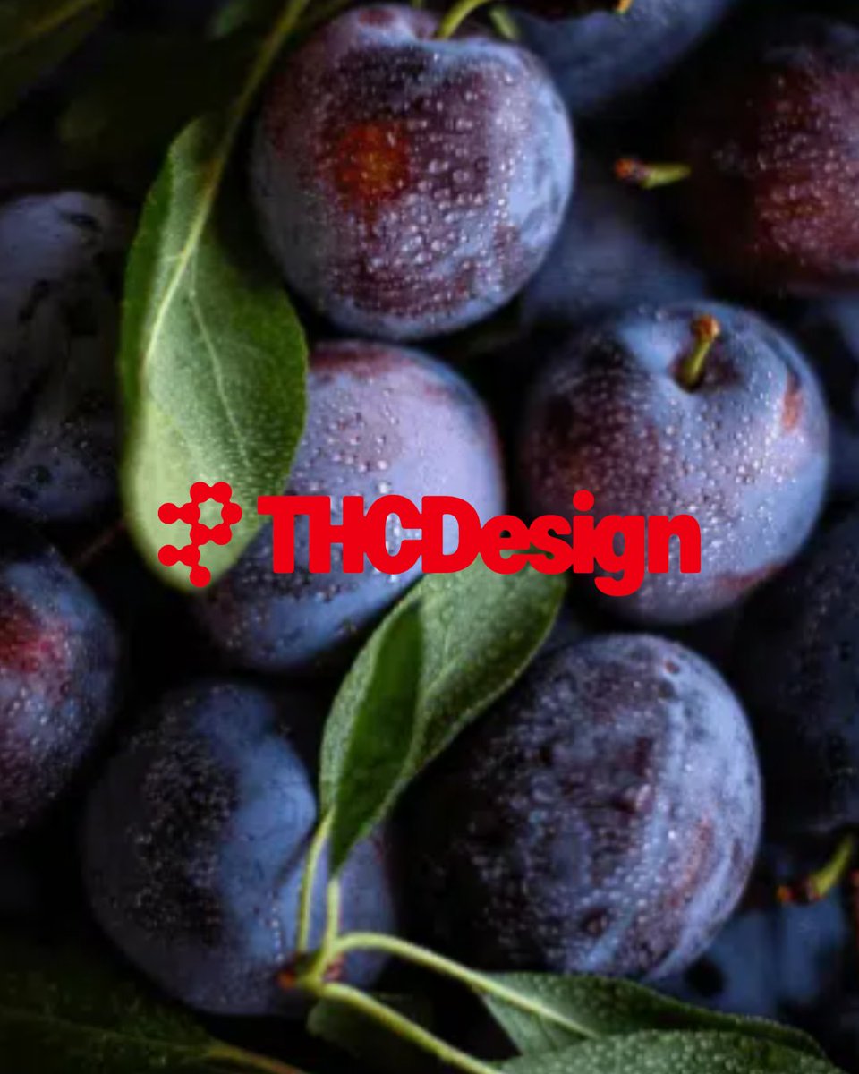 erbandarbor's tweet image. "Legacy Roots. Proven Genetics. High Standards." - @_THCDesign. We carry several strains from this incredible brand, including Crescendo, Bislato, XJ-13, and GG4. #THCDesign #cannabisculture #topshelfcannabis