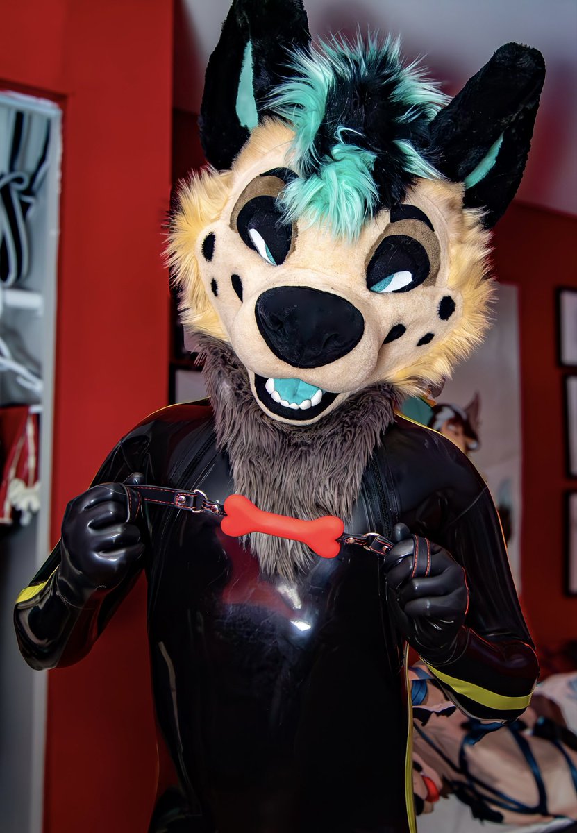 Hey puppy…I got you a new chew toy 😈✨🦴