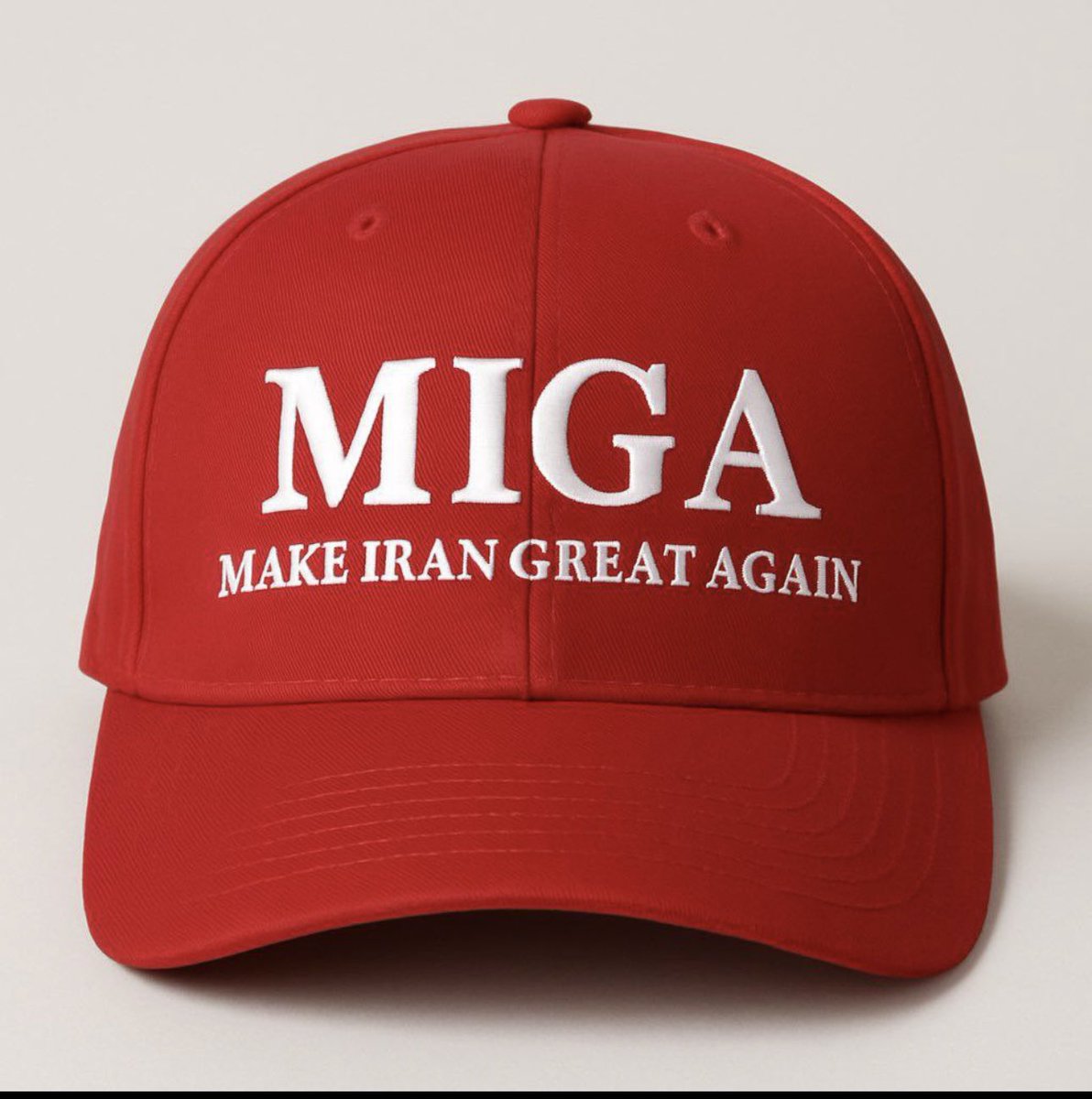 SiavashRafiee's tweet image. MAKE IRAN GREAT AGAIN 
#MIGA