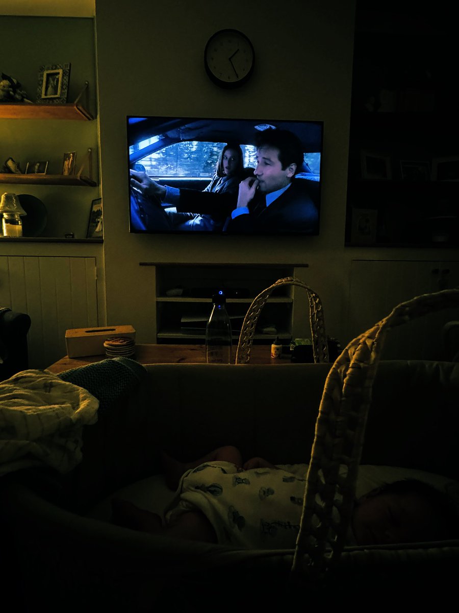 Charlies_London's tweet image. Two of my loves in one photo, William and the X files! I’ve started it again from the beginning! 11 series! That should be enough to occupy me during the night feeds 😂😂😂