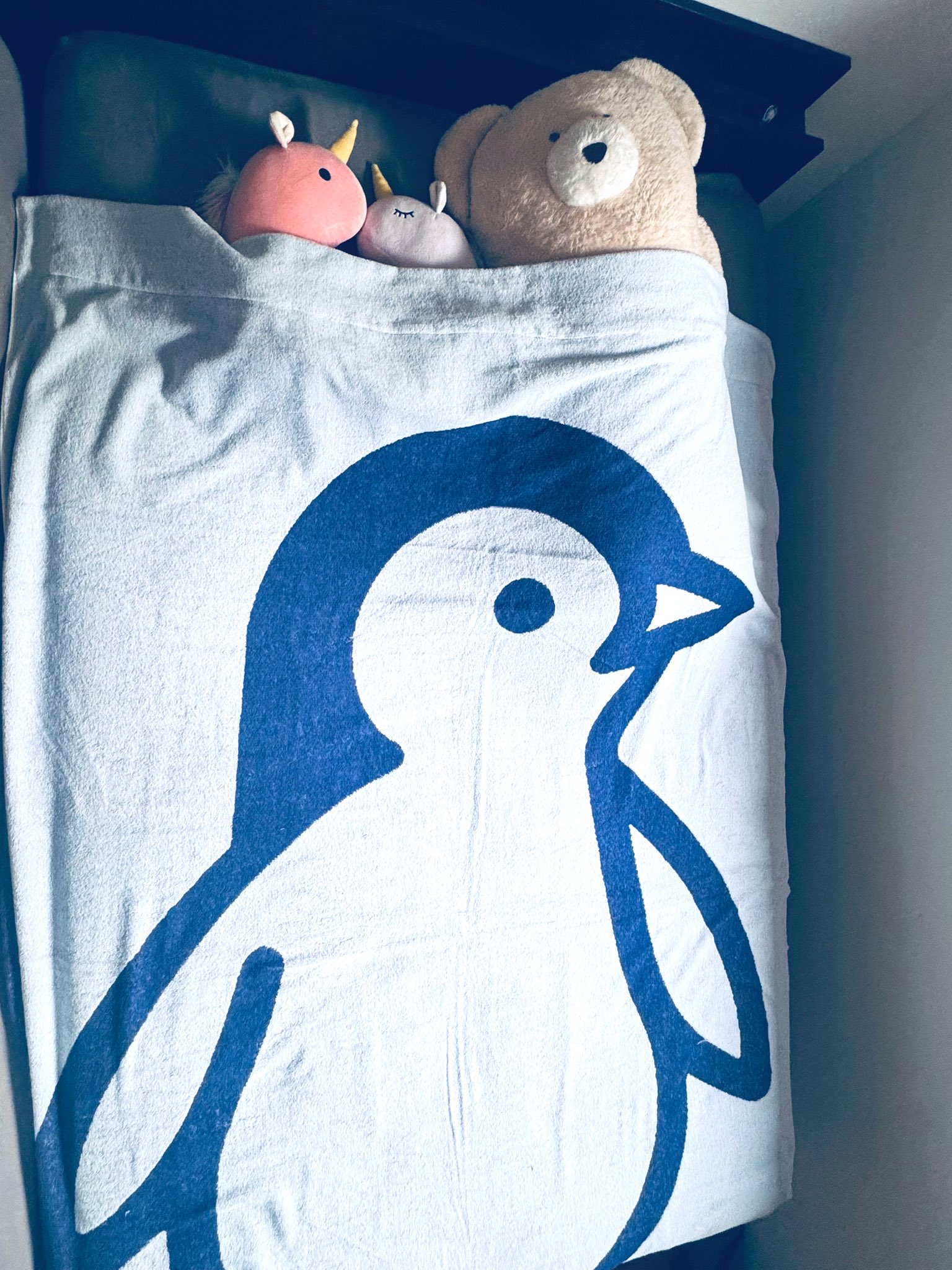 Air-penguin4 (@Penguin4Liner) / X