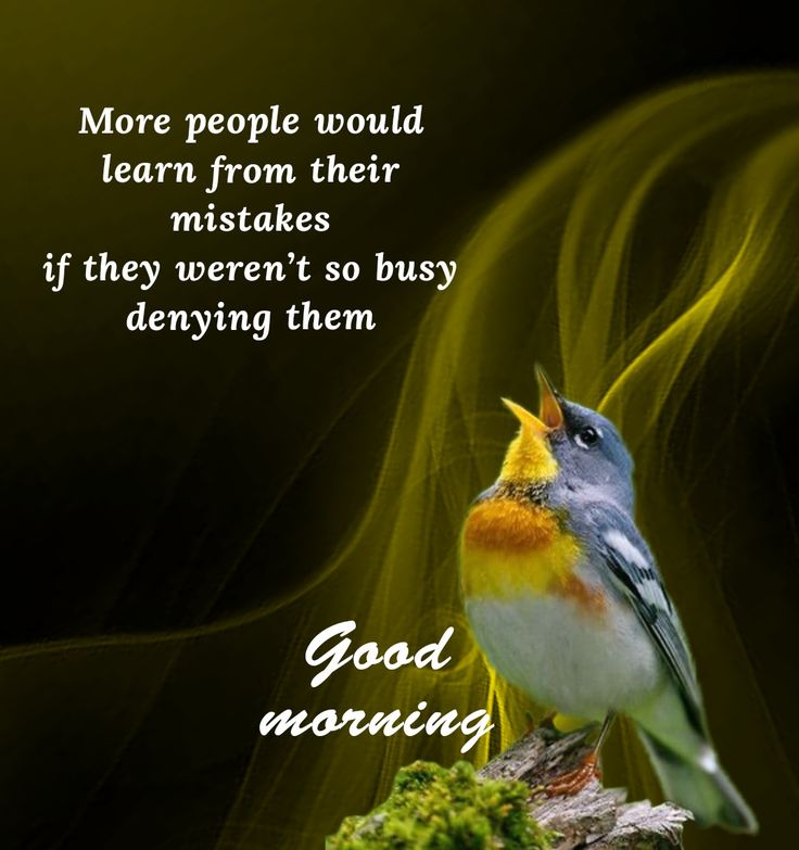 <a href="/rmburra24/">Raji M Burra.</a> 
Good Morning Raji