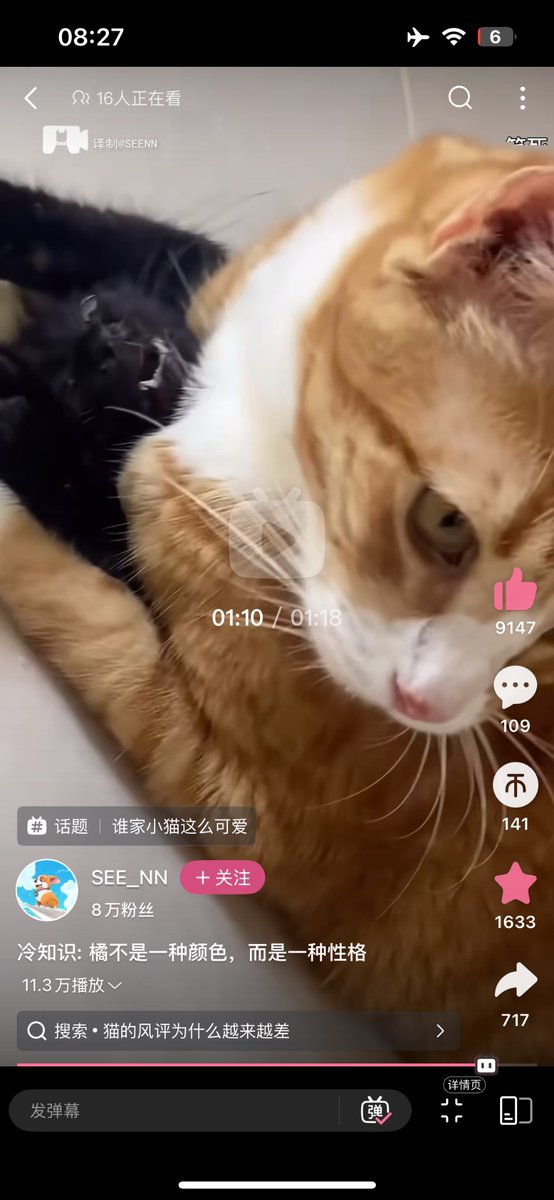 救命🆘