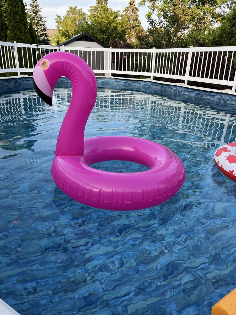 New 🦩 floaty