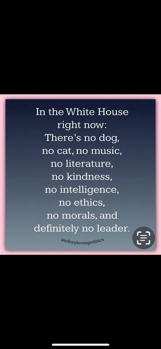 Sonia Schmitt ☮️🟧 (@soniadeigh) on Twitter photo 