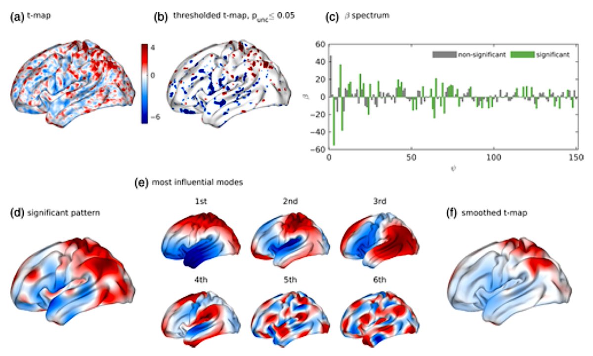 Super cool talk by Trang Cao on her paper on Mode-Based Morphometry (MDM) [1]
MBM projects individual brain morphometry onto eigenmodes of a physical deformation model* to capture anatomical variation across spatial scales
May offer higher sensitivity than traditional morphometry