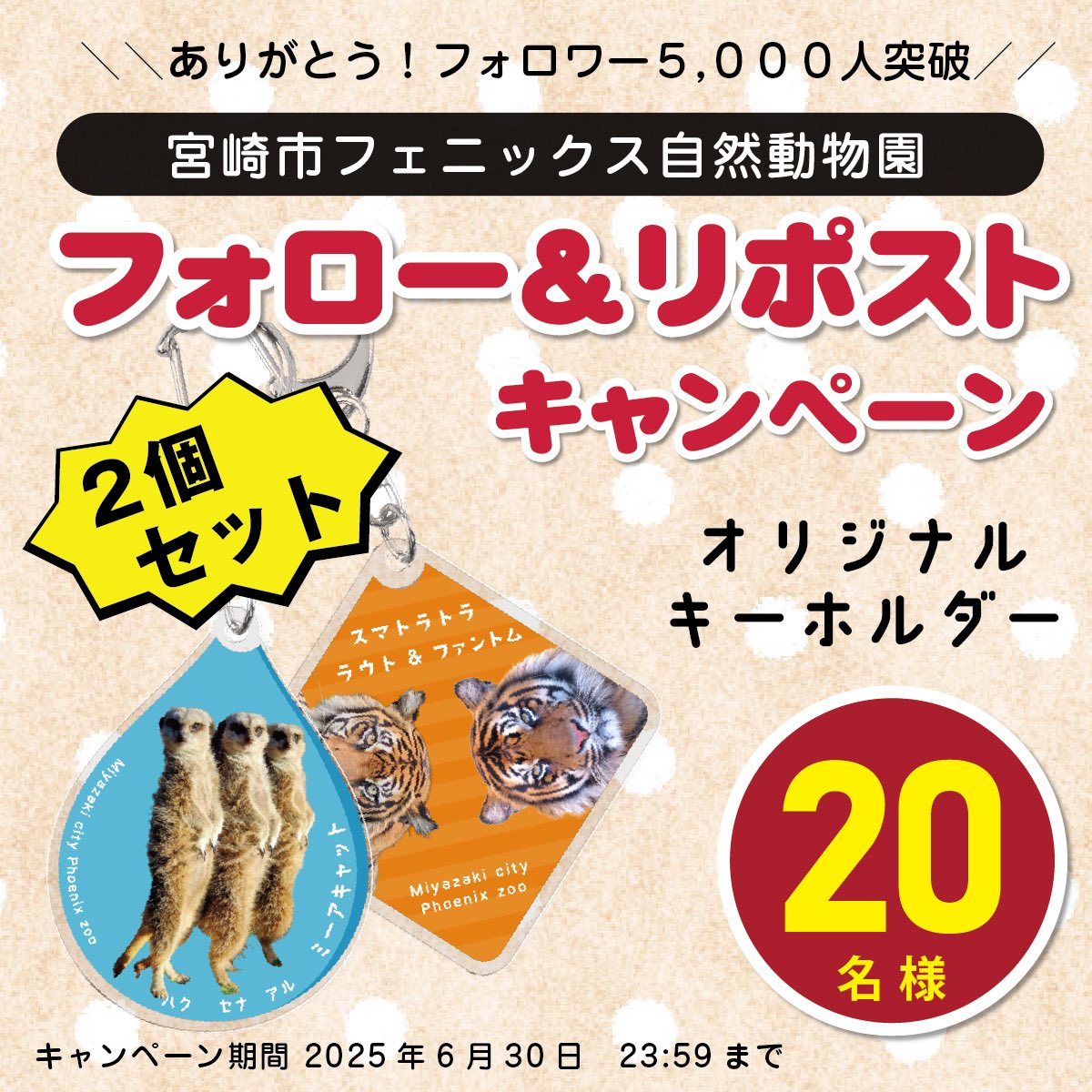 m_phoenixzoo's tweet image. 大変お待たせしました🙇♀️
#宮崎市フェニックス自然動物園 Xフォロワー5,000人突破を記念して、オリジナルアクリルキーホルダーを2個セット(!)で20名にプレゼントいたします🎁
【応募方法】
①@m_phoenixzoo をフォロー
②この投稿をリポスト
締切は6月30日。
たくさんのご応募お待ちしております😉