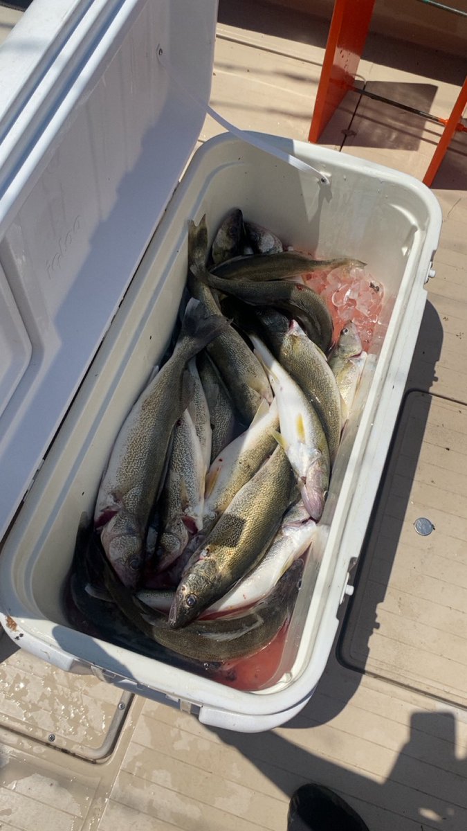 Had a great time fishing with my parents today at Lake Erie 🌊☀️ We caught 18 Walleye 🎣