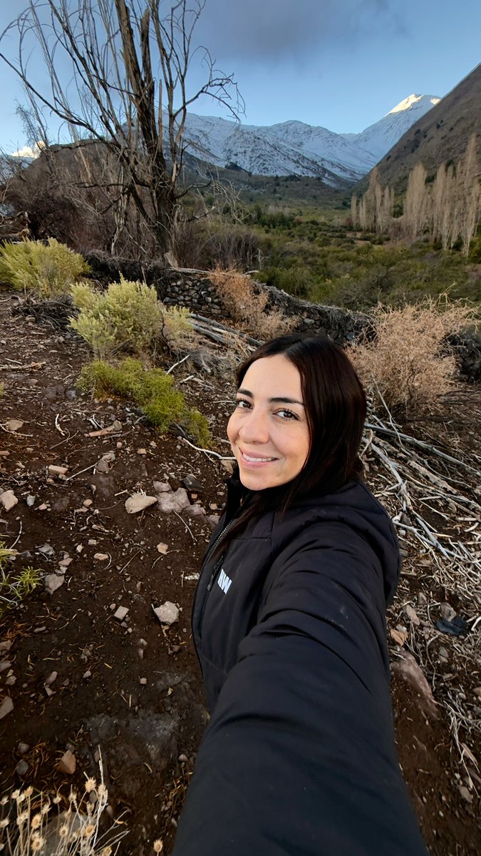 CataDeLosCerros🏔 tweet media