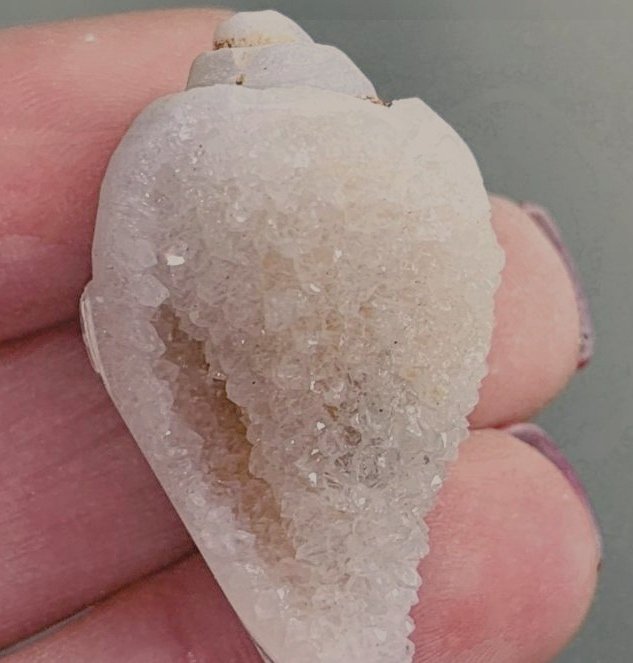 Stone 🪨 Pure Rock tweet media