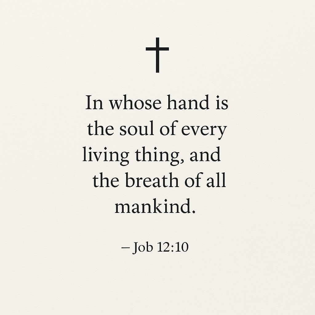 FaithfulRefle25's tweet image. Every soul. Every breath. Every life—held in God&apos;s hands.
You&apos;re not forgotten. You&apos;re sustained by His power and love.
– Job 12:10 ✝️
\#Job1210 #HeldByGod #FaithfulReflections #EveryBreathMatters #TrustInHisHands