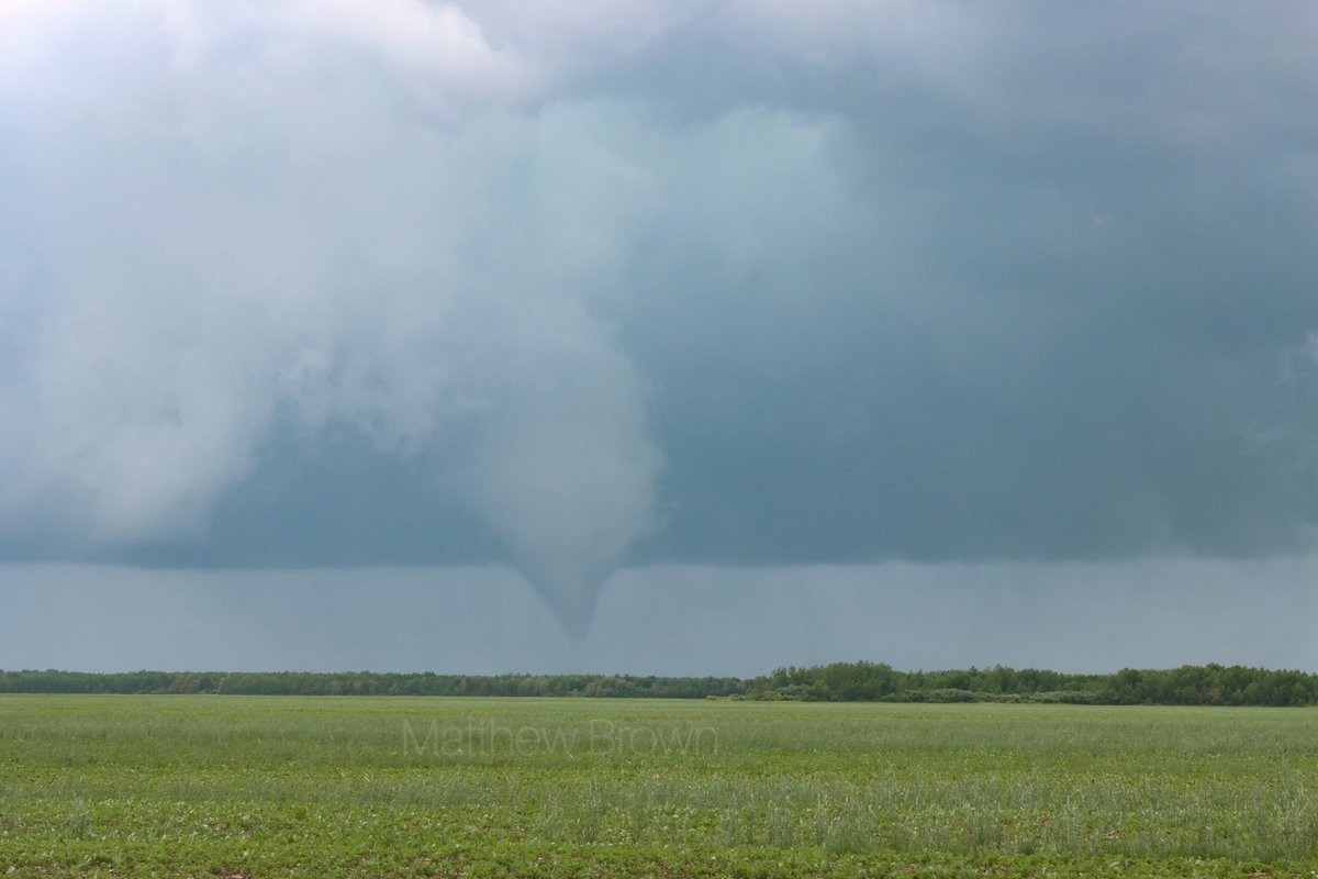 Some of the tornadoes moments ago near Grygla, MN #mnwx 

What a way to finish off a chasecation