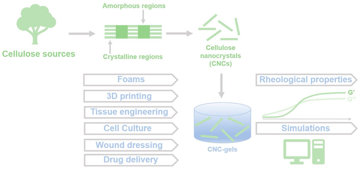 Gels MDPI (@gels_mdpi) on Twitter photo #Highly_cited
📢 "Cellulose Nanocrystal (CNC) Gels: A Review" by Sérgio R. S. Veloso et al.
🔗mdpi.com/2310-2861/9/7/…
#cellulose_nanocrystals #gels #preparation_methods #rheological_properties #numerical_simulation #Highly_cited
📢 "Cellulose Nanocrystal (CNC) Gels: A Review" by Sérgio R. S. Veloso et al.
🔗mdpi.com/2310-2861/9/7/…
#cellulose_nanocrystals #gels #preparation_methods #rheological_properties #numerical_simulation