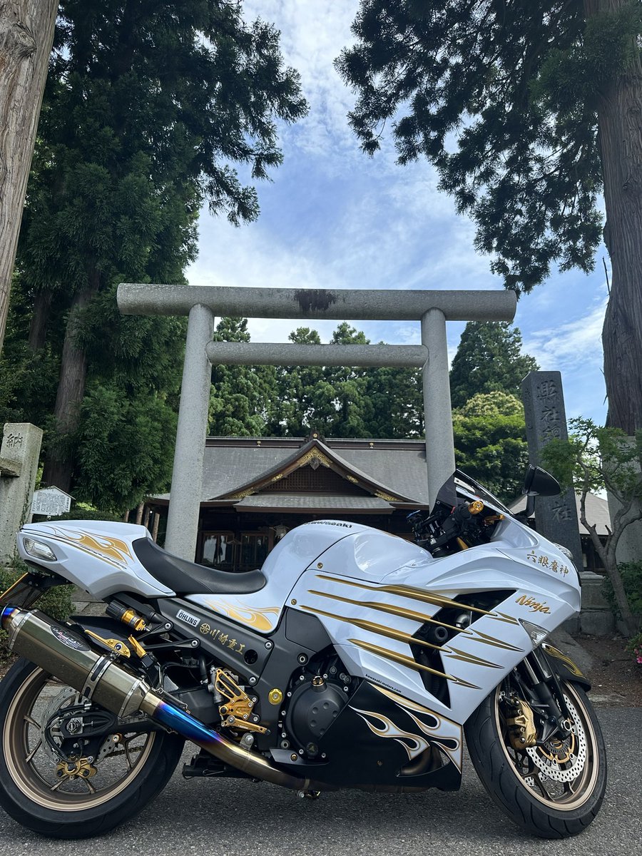 【内祝い】 イギー(Rein)@オレンジ14R (@ZX14R_codig) / X アイドル