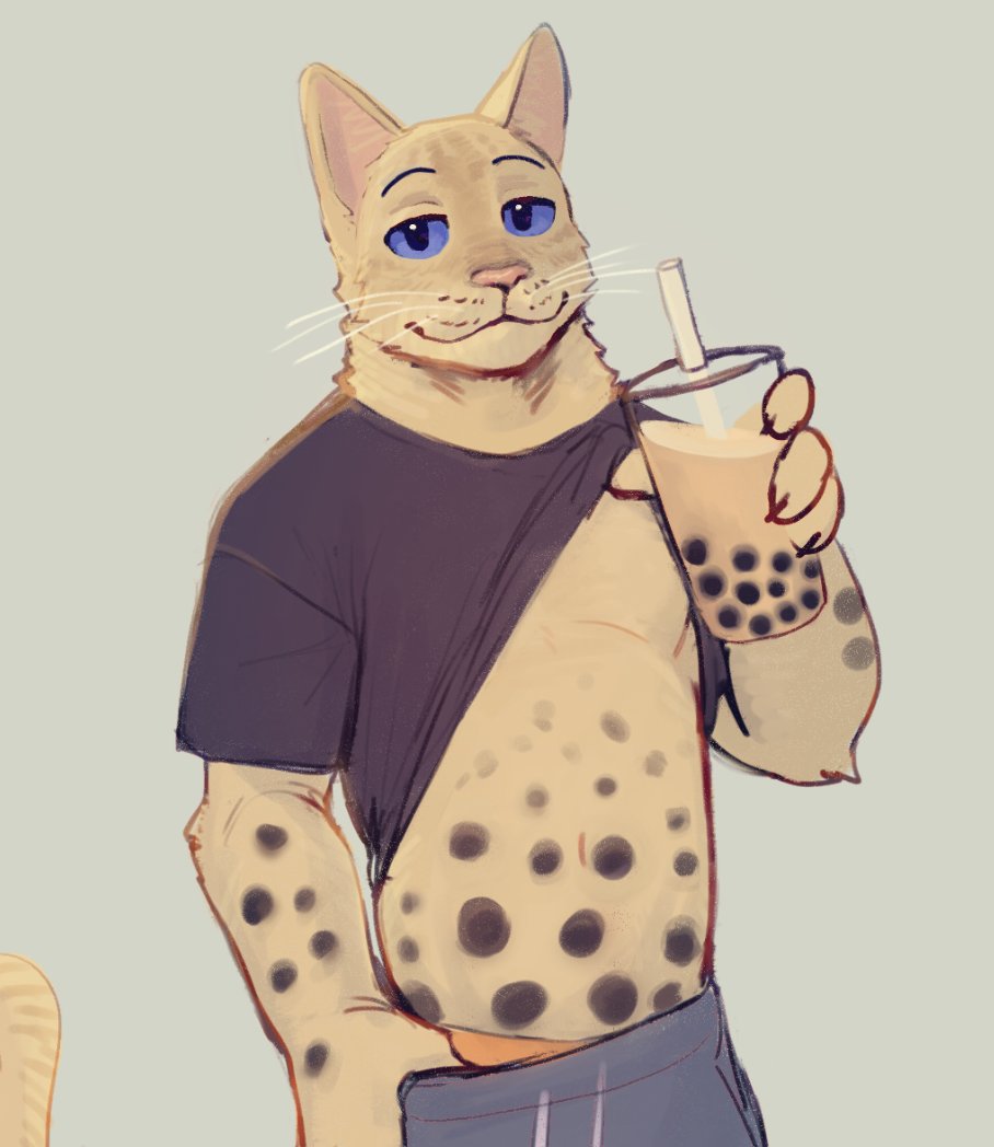 boba cat
