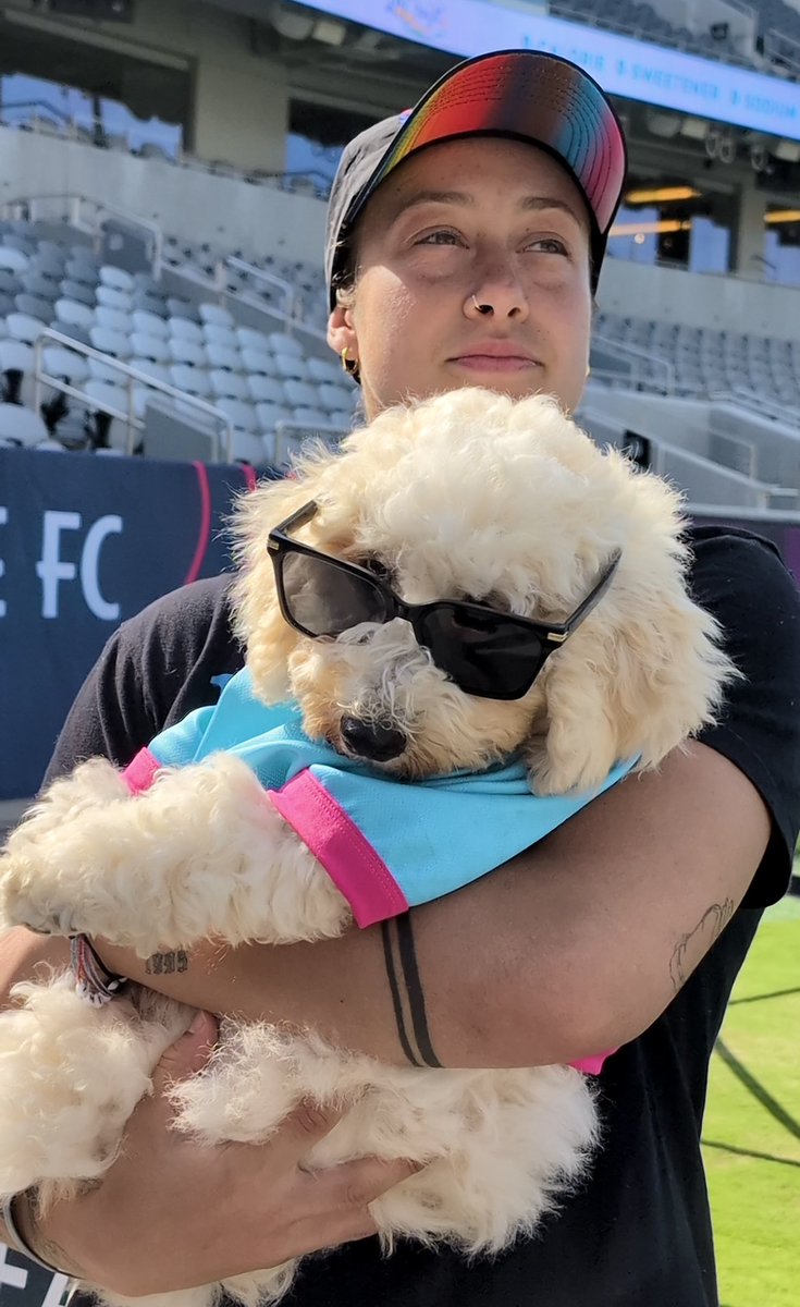 when we say we got that dog in us this is what we mean