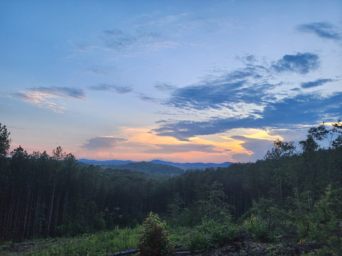 Stephan Frank tweet media