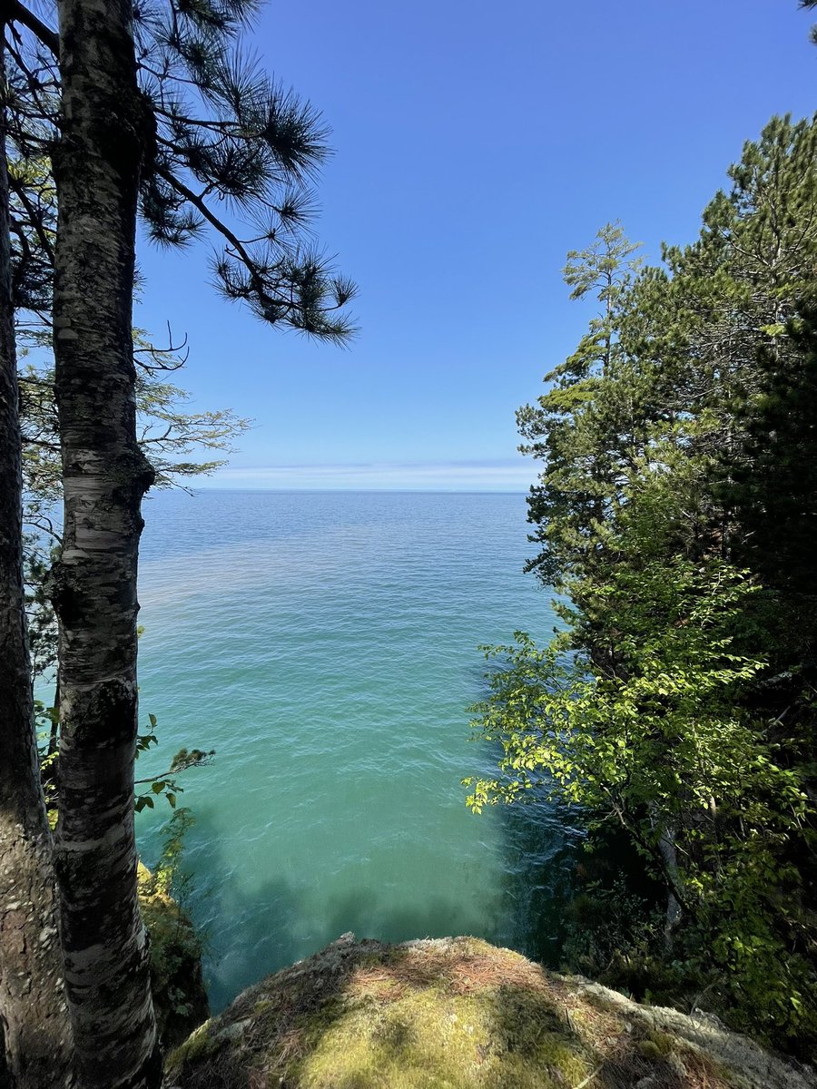 CaseyyyLee's tweet photo. Some WI nature https://t.co/DLJlSGCdmP