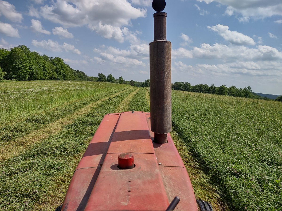 NWPA Dairyman tweet media