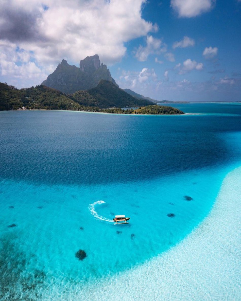 Sports Jim III tweet media