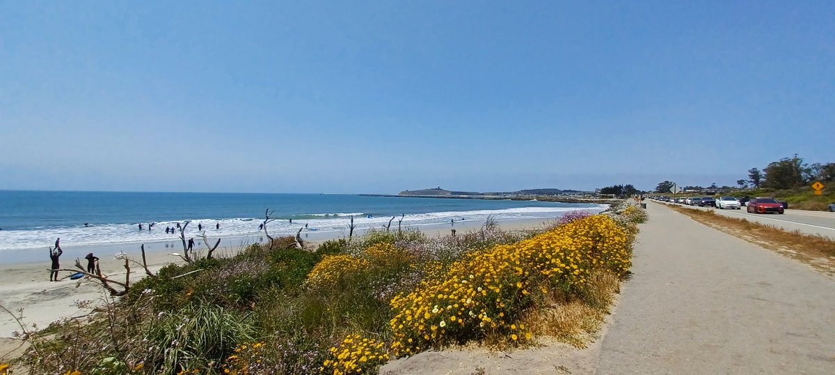 rukiddingme3590's tweet photo. Wonderful Sunday on the coast. 😎🍺🍽🦑🐙🐟⛵️🏄 #Hwy1 #PrincetonHarbor #ElGranada #HalfMoonBay #seafood #clamchowder #fishandchips https://t.co/hrRYXeTU9M