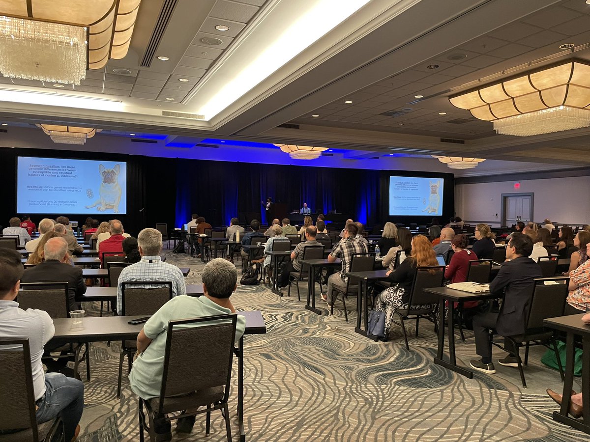 Tonight – Dr. Jena Jesudoss Chelladurai presenting at the Boehringer Ingelheim Sympossium! 
‘Tackling tough cases - resistant flea tapeworms!’
#AAVP2025