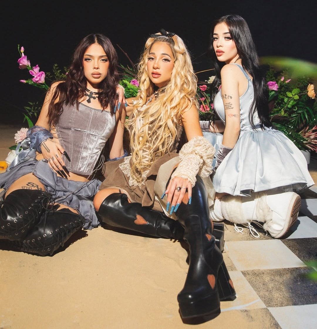 Ingratax Web tweet media