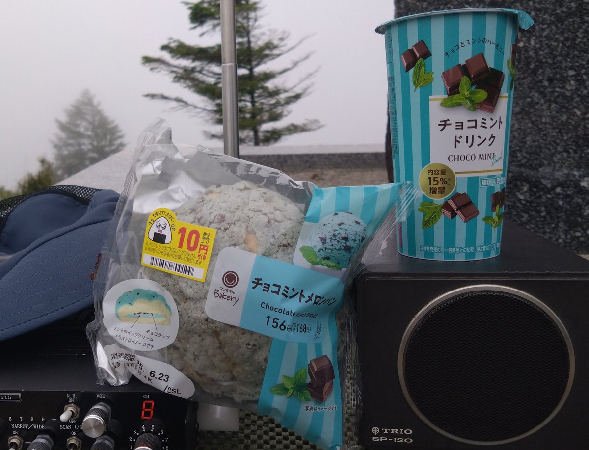 昨日のランチ
チョコミン党員としては理想的な食事でした。