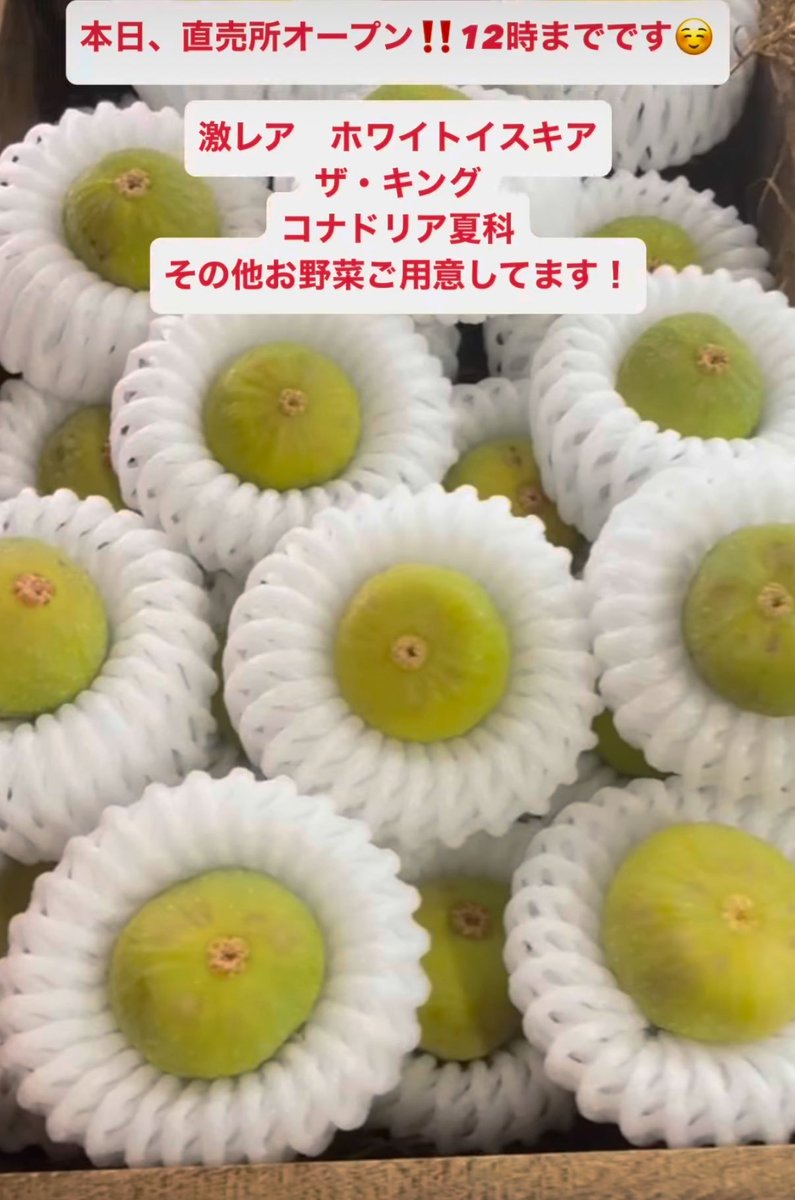 FarmNemoto's tweet photo. ご来店お待ちしてます！ https://t.co/6JdHkYZqC7