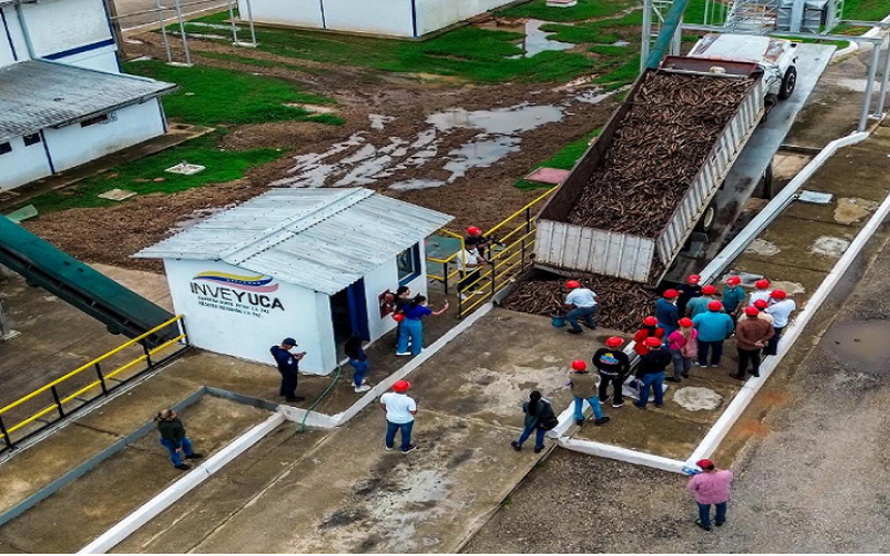 #Economía | Planta Industrial Venezolana produce el 60 % del almidón de yuca que consume Venezuela

Amplía la información aquí: noticiasvenevision.com/noticias/econo…

#NoticiasVenevision #22Jun