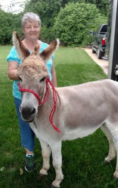 Diegoranchinc's tweet image. In honor of my mom, Mini Maggie, and Diego, I would love for everyone to wear their Diego Ranch t shirts tomorrow.