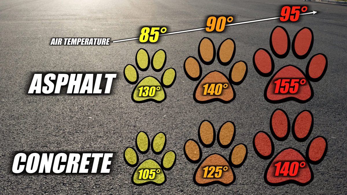 EthansPetProj's tweet image. Don’t burn their paws!
