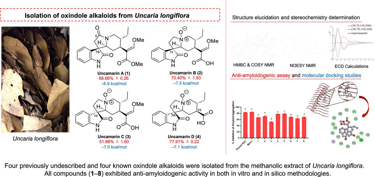 天然物創薬化学研究室(Ishikawa Group, Chiba Univ.) tweet media