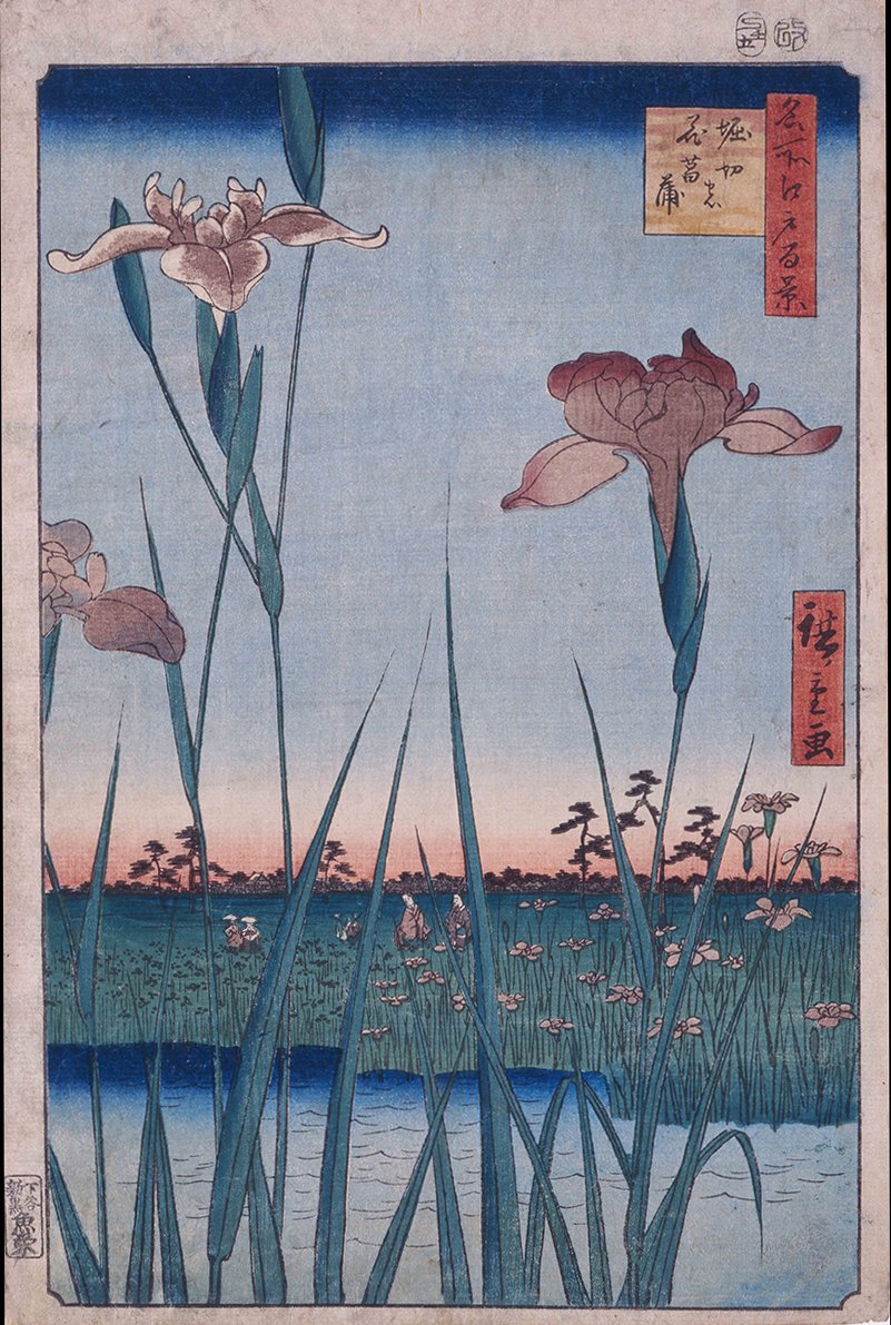 日本画　「菖蒲」菊川多賀先生 日本画 「菖蒲」菊川多賀先生 Ishiyakushi Station (44th on