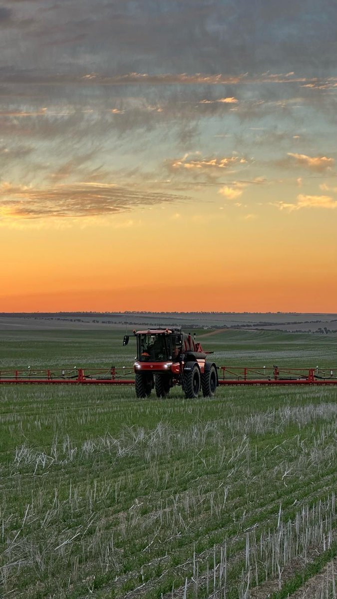 Just another day in the office out at Spring Park Farms 🚜Clean rows, smooth lines, and a machine that makes it easy.#AgrifacInAction #Agrifac #AgrifacAU