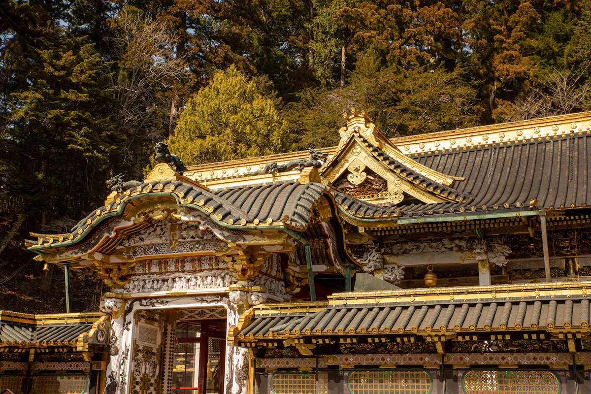 AdamGonet's tweet photo. Exploring Nikko ⛩️

#Nikko #Japan #日光市 https://t.co/lDwyOScARn