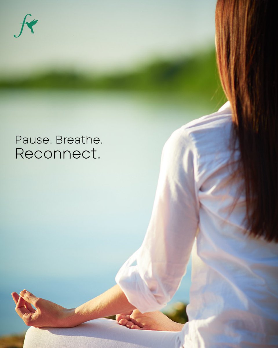 FazlaniResort's tweet image. Take a pause. Not to escape life, but to reconnect with it. ✨

At Fazlani Nature’s Nest, we believe true strength is found in stillness, balance, and self-care.

#motivation #healingispower #fazlaninaturesnest #wellnessretreat #mondaymotivation