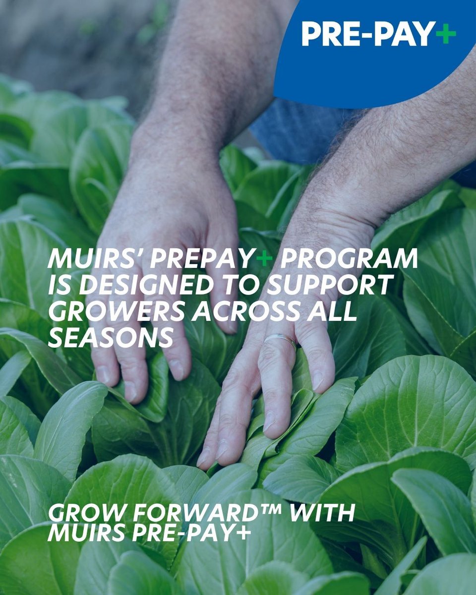 Why PrePay Plus?
• 5% p.a. reward on prepaid funds
• Guaranteed access to inputs when you need them
• Flexibility to purchase on your terms
• Backed by your local Muirs team

Get ahead this season — and get rewarded for it. Talk to your Muirs representative today.