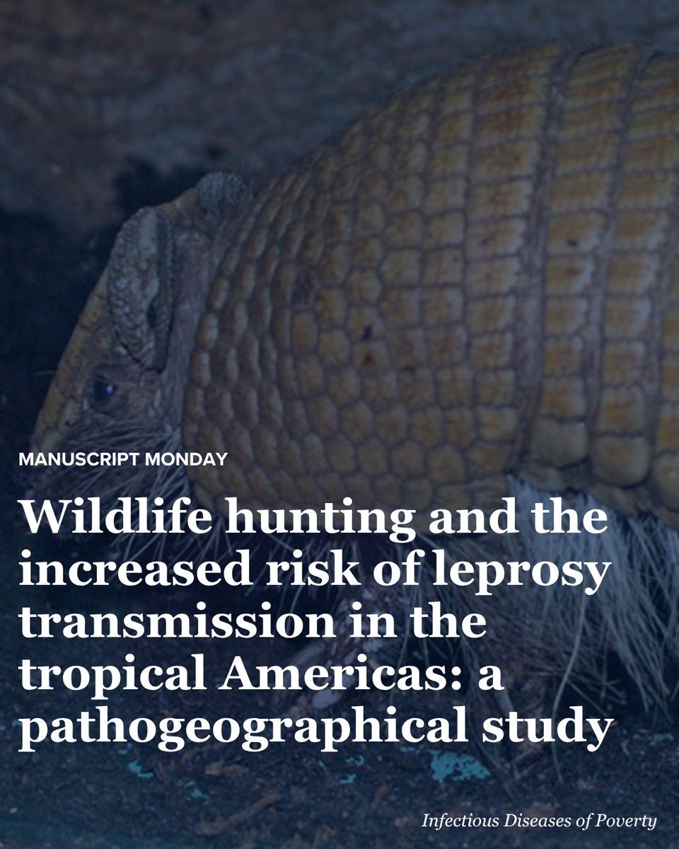 ph_alliance's tweet image. New research from Brazil finds armadillo hunting is the second strongest predictor of human #Leprosy—tied to 25% of national cases &amp;amp; 40% in deforested areas. A powerful reminder of the links between #Wildlife, #LandUse &amp;amp; #Disease.

✨ Read now: buff.ly/lw7RZlT