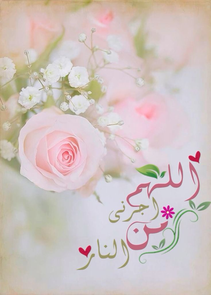 𝐒ҽԋαʀ 👑 (@sehar___) on Twitter photo #ملک_پرموشن
#Follow💞
<a href="/01Mllik/">𝙈𝘼𝙇𝙄𝙆 𝙅𝙄💫💙</a> <a href="/1arshd/">𝗔𝗿𝘀𝗵𝗱 𝗠𝗹𝗶𝗸💫👑</a>
<a href="/1Arshii/">𝓐𝓻𝓼𝓱𝓲𝓪 🌸💫</a> <a href="/01rshd/">ارشـــد مــلــک❤️</a>
<a href="/sehr_ik/">سحر ملک 🦋🦋</a> <a href="/1Mahii_/">🦋ماہی ملک 🦋</a>
<a href="/11iasd/">Ali Asad</a> <a href="/1fazl2/">فضـ𝓪𝓴𝓫𝓪𝓻ـل</a> <a href="/Znt33/">🦋ZêēñäT</a>
⬇️
<a href="/1Sehar_/">𝐒ҽԋαʀ 👑</a>
<a href="/111mn1/">🐬آمنہ ملک🦋</a>
@11ain_a
<a href="/glmsjd/">𝑺𝒂𝒋𝒋𝒂𝒅 ✨</a>
<a href="/shz787/">🌟⭐️🌟🌟sʜᴀʜᴢᴀᴅ ᴍᴜɴɪʀ🌟⭐️🌟⭐️</a>
<a href="/zhr879/">Emaan Zahra</a>
<a href="/10bshr/">Bashir Ahmed</a>
<a href="/NK_pti/">𝒜𝓏𝒶𝒹</a>
<a href="/shZ447/">🌻🌻🌻𝕊𝕙𝕒𝕙𝕫𝕒𝕕 𝕄𝕦𝕟𝕚𝕣🌻🌻🌻</a>
<a href="/bndy66/">Asil khawaja 55</a>
@FF190m
<a href="/Hurain_5/">Hurain 💞حورین</a>
<a href="/Haris_943/">Haris PTI ᵀᶠᴸᵂ</a>
<a href="/1fzalI/">💓PTI ACCOUNTS PROMORTER💓</a> <a href="/guljnt/">گُل جنت🌷</a>
<a href="/Znt31/">🦋Zeenat🦋</a> <a href="/Ghz35/">🇬 🇭 🇦 🇿 🇦 🇱 🇦 🇭</a>
<a href="/Pir_80/">Pir Shb</a> <a href="/Ghz39/">❦ 𝐆𝖍𝖆𝖟𝖆𝖑𝖆𝖍 𝐒𝖆𝖉𝖆𝖋 ❦</a>
<a href="/bndy5_/">Khawaja Asil</a> <a href="/NM1k_/">༺ 💎𒆜𝑵𝑬𝑬𝑵𝑨𝑯𒆜💎 ༻</a> @_aina1 #ملک_پرموشن
#Follow💞
<a href="/01Mllik/">𝙈𝘼𝙇𝙄𝙆 𝙅𝙄💫💙</a> <a href="/1arshd/">𝗔𝗿𝘀𝗵𝗱 𝗠𝗹𝗶𝗸💫👑</a>
<a href="/1Arshii/">𝓐𝓻𝓼𝓱𝓲𝓪 🌸💫</a> <a href="/01rshd/">ارشـــد مــلــک❤️</a>
<a href="/sehr_ik/">سحر ملک 🦋🦋</a> <a href="/1Mahii_/">🦋ماہی ملک 🦋</a>
<a href="/11iasd/">Ali Asad</a> <a href="/1fazl2/">فضـ𝓪𝓴𝓫𝓪𝓻ـل</a> <a href="/Znt33/">🦋ZêēñäT</a>
⬇️
<a href="/1Sehar_/">𝐒ҽԋαʀ 👑</a>
<a href="/111mn1/">🐬آمنہ ملک🦋</a>
@11ain_a
<a href="/glmsjd/">𝑺𝒂𝒋𝒋𝒂𝒅 ✨</a>
<a href="/shz787/">🌟⭐️🌟🌟sʜᴀʜᴢᴀᴅ ᴍᴜɴɪʀ🌟⭐️🌟⭐️</a>
<a href="/zhr879/">Emaan Zahra</a>
<a href="/10bshr/">Bashir Ahmed</a>
<a href="/NK_pti/">𝒜𝓏𝒶𝒹</a>
<a href="/shZ447/">🌻🌻🌻𝕊𝕙𝕒𝕙𝕫𝕒𝕕 𝕄𝕦𝕟𝕚𝕣🌻🌻🌻</a>
<a href="/bndy66/">Asil khawaja 55</a>
@FF190m
<a href="/Hurain_5/">Hurain 💞حورین</a>
<a href="/Haris_943/">Haris PTI ᵀᶠᴸᵂ</a>
<a href="/1fzalI/">💓PTI ACCOUNTS PROMORTER💓</a> <a href="/guljnt/">گُل جنت🌷</a>
<a href="/Znt31/">🦋Zeenat🦋</a> <a href="/Ghz35/">🇬 🇭 🇦 🇿 🇦 🇱 🇦 🇭</a>
<a href="/Pir_80/">Pir Shb</a> <a href="/Ghz39/">❦ 𝐆𝖍𝖆𝖟𝖆𝖑𝖆𝖍 𝐒𝖆𝖉𝖆𝖋 ❦</a>
<a href="/bndy5_/">Khawaja Asil</a> <a href="/NM1k_/">༺ 💎𒆜𝑵𝑬𝑬𝑵𝑨𝑯𒆜💎 ༻</a> @_aina1