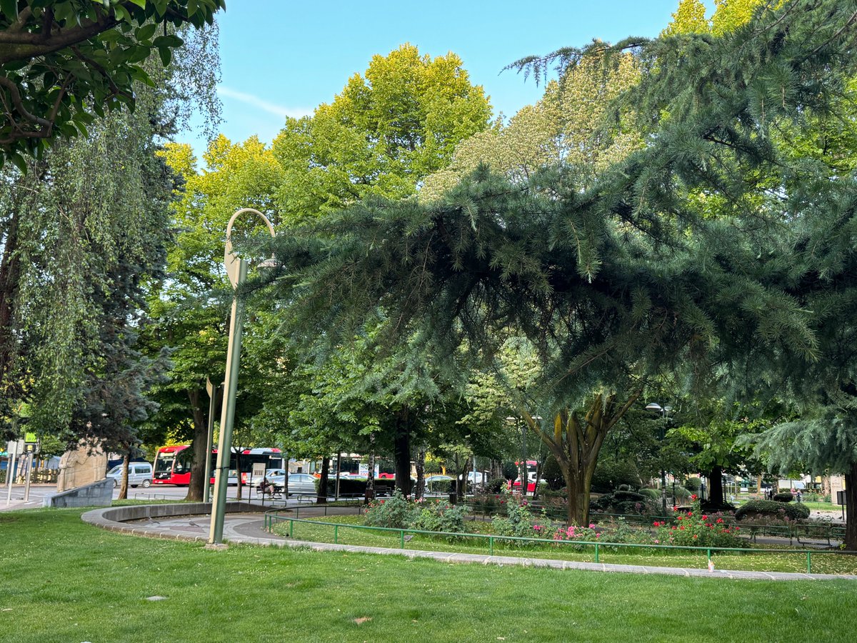 El jardín de la calle Independencia es nuestra imagen para traer los #Buenosdías🌏 desde #LeónEsp
#Felizlunes💫

#AyuntamientodeLeón #LeónEspaña