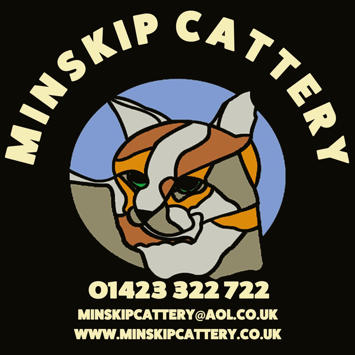 🌟 Going away? Don’t worry! We’ll pamper your feline friends with love, care, and purr-sonal attention. Your cats deserve the best! 🐾❤️ #CatCare