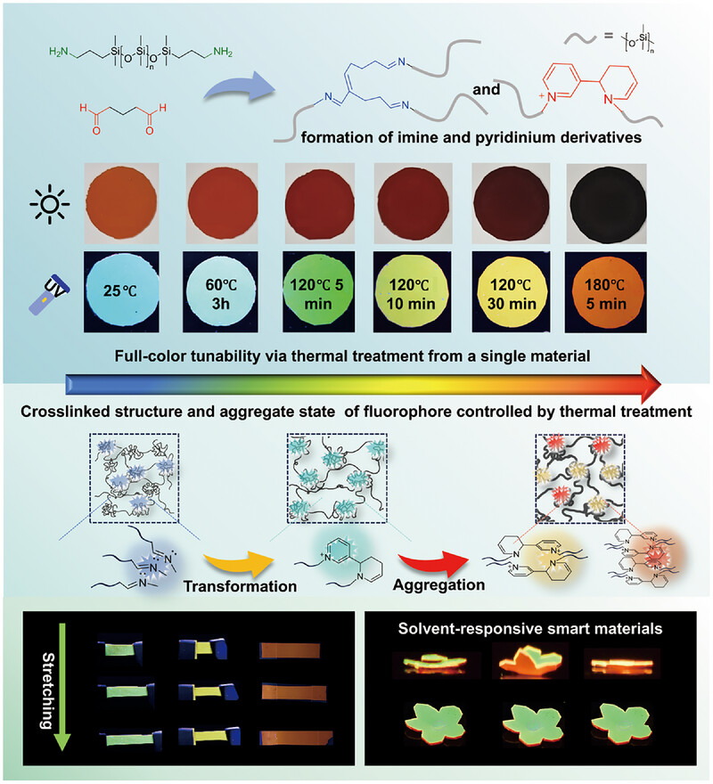 AggregateOA's tweet photo. “Full-Color Tunable #Fluorescent #Polysiloxanes Driven by Structure Evolution and Aggregation From Amine–Aldehyde Reaction” from Xinyu Cao, Yongmei Ma, et al. @CAS__Science @Wiley_Chemistry @WileySTEM #nonconventional
Check👉https://t.co/NOEdBNZDR2 https://t.co/k64ttGXjhX