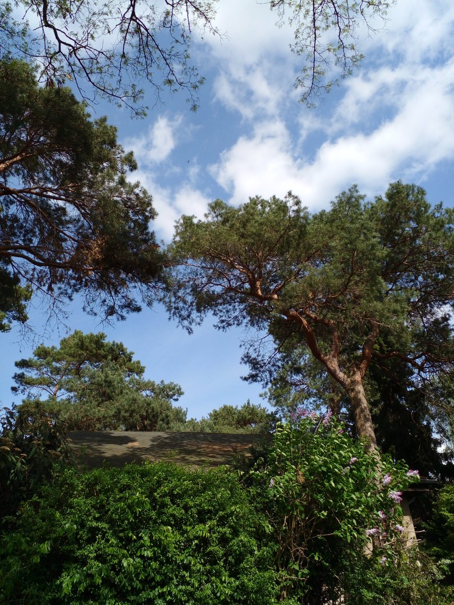 Катерина Галич tweet media