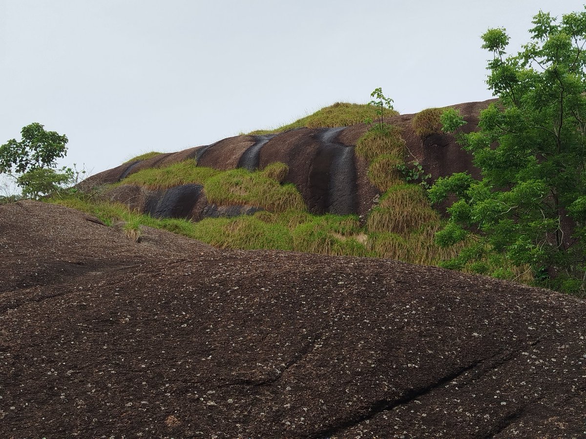 This wasn't a postcard-perfect landscape, yet it resonated with a raw, powerful energy. It spoke of endurance, adaptation, of the subtle interplay between the grand and the minute.

"Look deep into nature, and then you will understand everything better." - Albert Einstein
#rock